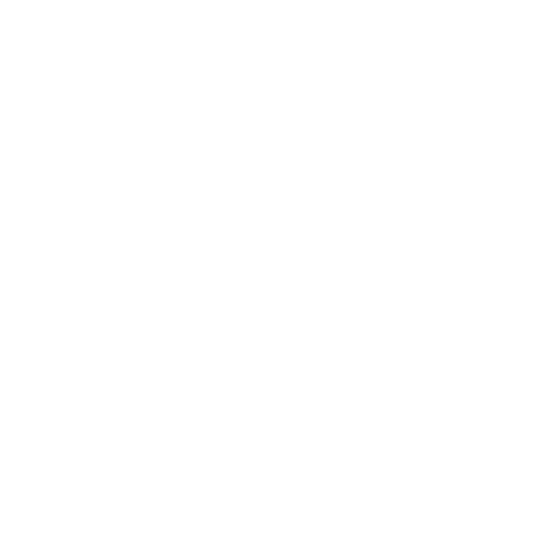 Visionary
